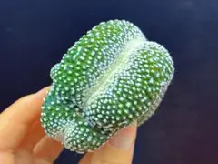 メルカリ