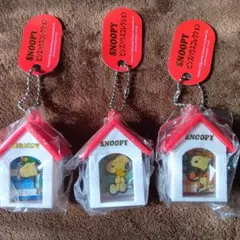 Item thumbnail for item 7dcc752c-16fe-4527-8ff1-dee01bfce21f