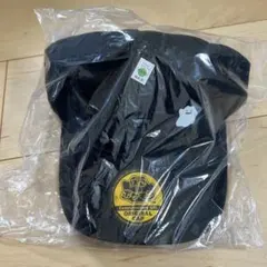 ぽこあポケモン　特典　メタモンキャップ