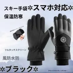 グローブ　手袋　スノーグローブ　雪　スキー　スマホ操作　登山　防寒　防水