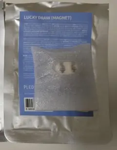 SEVENTEEN miniteen マグネット バーノン NONVER