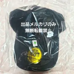 ぽこあポケモン ポケモン メタモンキャップ エディオン 帽子