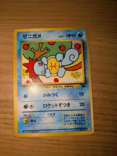 ゼニガメ カメール イントロパック - メルカリ