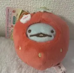 すみっコぐらし　ぶらさげぬいぐるみ　とかげ　太宰府限定　すみっコぐらし堂　いちご