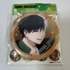 WIND BREAER トレーディンググリッター缶バッジVol.2 桜遥