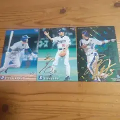 2010 中日ドラゴンズ 優勝記念 カルビー プロ野球カード 2010 中日ドラゴンズ 優勝記念 カルビー プロ野球カード - メルカリ