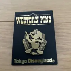 東京ディズニーランド ドナルドダック ピンバッジ