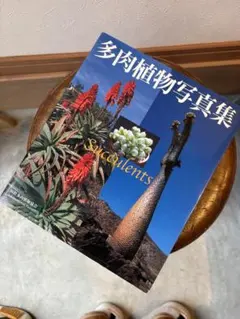 Item thumbnail for item 82d6a7cf-172a-4e48-a9dc-55e833ee91f0