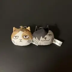 ハイキュー動物マスコットミニビーンズ クッション 孤爪研磨 、黒尾鉄朗