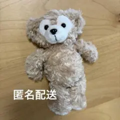 【匿名配送⭐︎美品】ディズニー　ダッフィーフレンズ　ダッフィーマスコット磁石