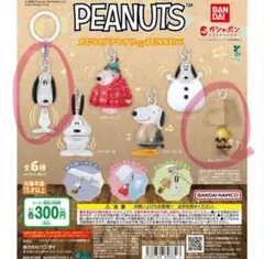 PEANUTS めじるしアクセサリー スヌーピー A チャーリー・ブラウン
