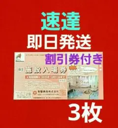 2025年最新】ハワイアンズの人気アイテム - メルカリ