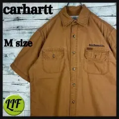 Item thumbnail for item 6f87de6f-aa2f-499a-9de4-6eaebcd7d0bc