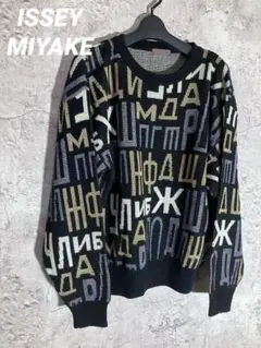 ISSEY MIYAKE 文字柄 ニットセーター クルーネック　イッセイ　ミヤケのサムネイル