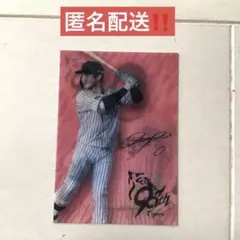 Item thumbnail for item 6e991794-b5a0-49ed-aa94-741c16e05ca2