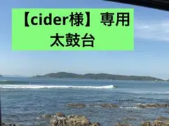 Item thumbnail for item 42c86caf-d7b9-4dc6-913a-244d860cebdb