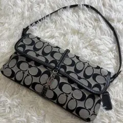 coachコーチ アクセサリーポーチ ワンショルダー シグネチャー クリップデミ