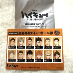劇場版ハイキュー!!ゴミ捨て場の決戦 入場者特典 烏野高校部選手名鑑風ブロマイド