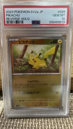 2026年最新】マスターボール ピカチュウ psa10の人気アイテム - メルカリ