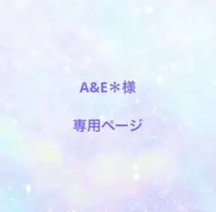 A&E＊様　　専用ページ