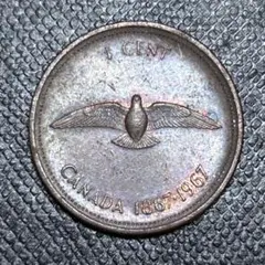 aoi_cotori様 リクエスト 3点 まとめ商品