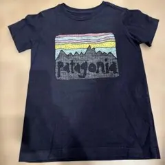 Patagonia 5T Tシャツ 山デザイン
