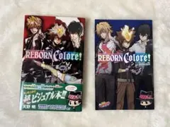 アート・デザイン・音楽 REBORN Colore! ver. ANIMATION ○REBORN Colore! リボーン・コローレ ANIMATION ver. 家庭教師