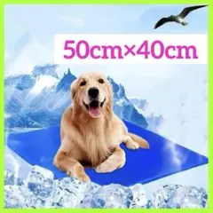 Item thumbnail for item 452a1d6c-41b4-47a6-a6bb-7866288f77bd