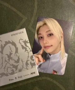 STRAY KIDS 【DOIT】 PLATFORM PLVE