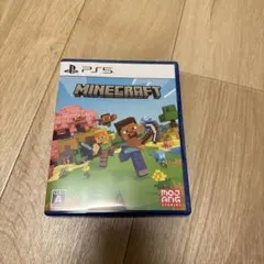 【大人気•大注目】 PS5 マインクラフト Minecraft 動作確認済み