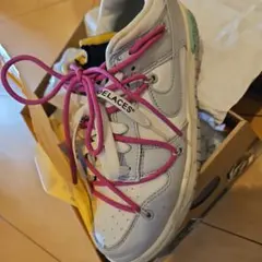 Nike Dunk Low Off-White Lot 30