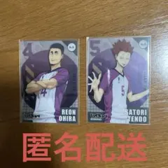 ハイキューコレクションカード　白鳥沢セット