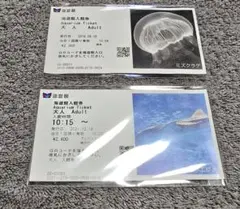 Item thumbnail for item 1901a461-4d20-4e13-8131-cc710afa485a