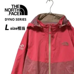 【希少】ノースフェイス　マウンテンパーカー　レディース　L 刺繍