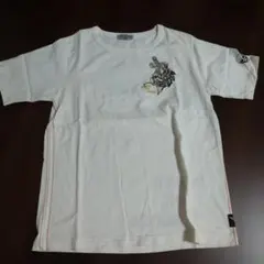 Item thumbnail for item be238804-78a9-48a3-b6db-91f718310984