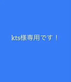 kts様専用です