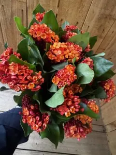 はなはな様 リクエスト 3点 まとめ商品