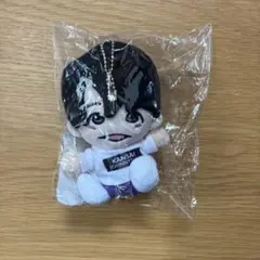 【匿名配送】Lilかんさい 大西風雅 ちびぬい Lilかんさい 大西風雅 ちびぬい 第1弾 新品未開封 緩衝材あり - メルカリ