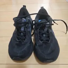 Item thumbnail for item 21743715-2e6c-454e-aa05-2c61f83a9148