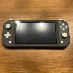 Nintendo Switch Lite グレー 本体、充電器