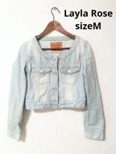 Item thumbnail for item 785b477c-a8cd-4780-8924-b35ce624faee