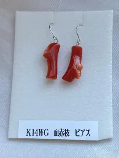 日本産 赤珊瑚 AKA 珊瑚 S925 ピアス 天然 coral - メルカリ