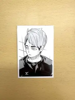 2026年最新】ハイキュー 思い出スナップフォトカード 宮治の人気