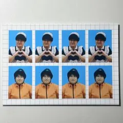 仁木とひわちゃん 証明写真7枚 ケビンス ママタルト - メルカリ