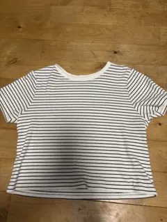 COLZA ボーダー 半袖 Tシャツ M