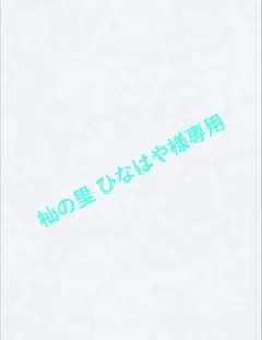 シノビシャドウ