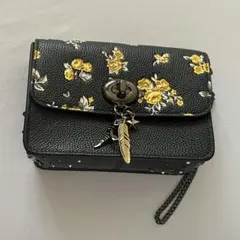 Item thumbnail for item 597dfde7-5e0e-4c93-82d8-dec0511e4b60