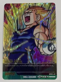 2026年最新】ドラゴンボール データカードダス 限界突破の人気アイテム