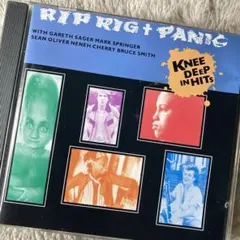 Rip Rig Panic Knee Deep Hits Pop Group