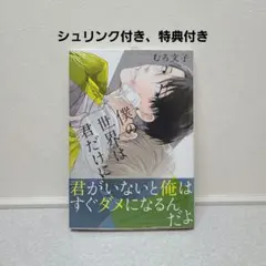 BLコミック◆商業BL◆僕の世界は君だけに　むろ文子　まとめ売り